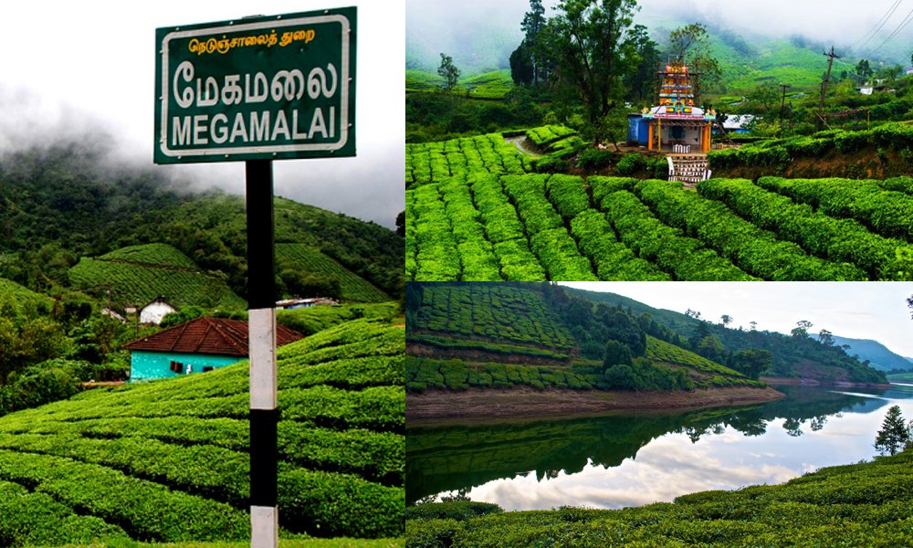 Megamalai  The Elevated and curly highland