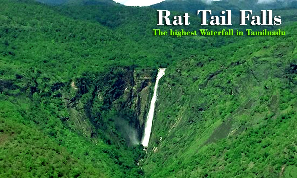 Thalaiyar Falls  Rat Tail Waterfall