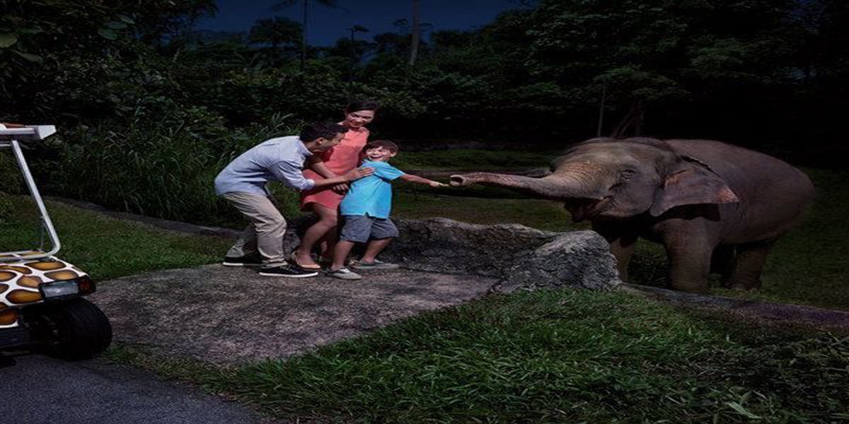 Night Safari at Singapore