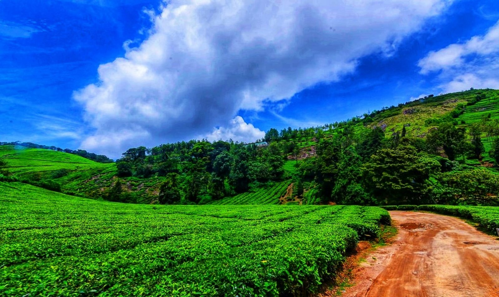 Top 5 tourist destinations in Meghamalai