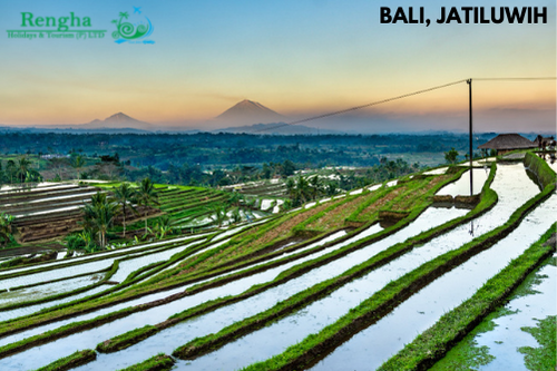 Bali Vacation: Discover A Breathtaking Panorama Of Jatiluwih 