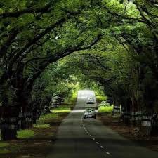 "Pollachi: A Blissful Blend of Nature, Wildlife, and Serenity"