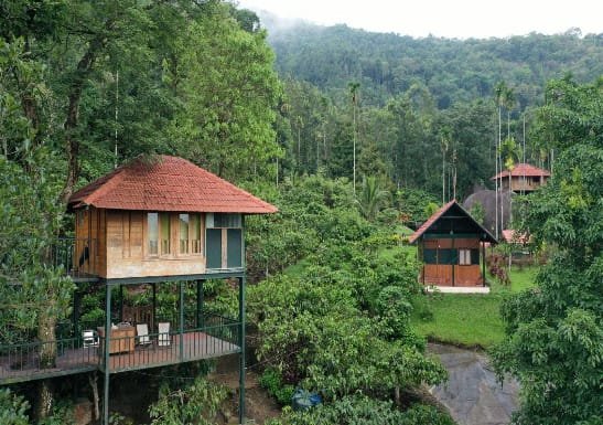 Wayanad Weekend Escape: A Perfect Nature-Filled Getaway in Kerala’s Green Heart