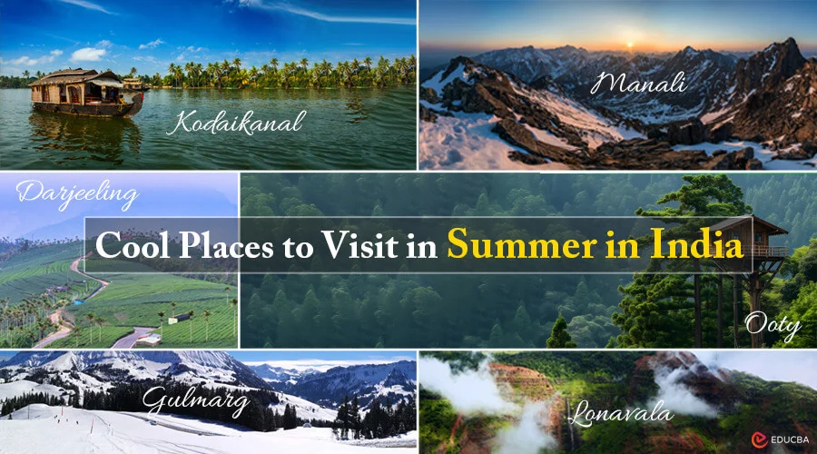10 Best Summer Tour Packages 2026 from Chennai by  Rengha Holidays 